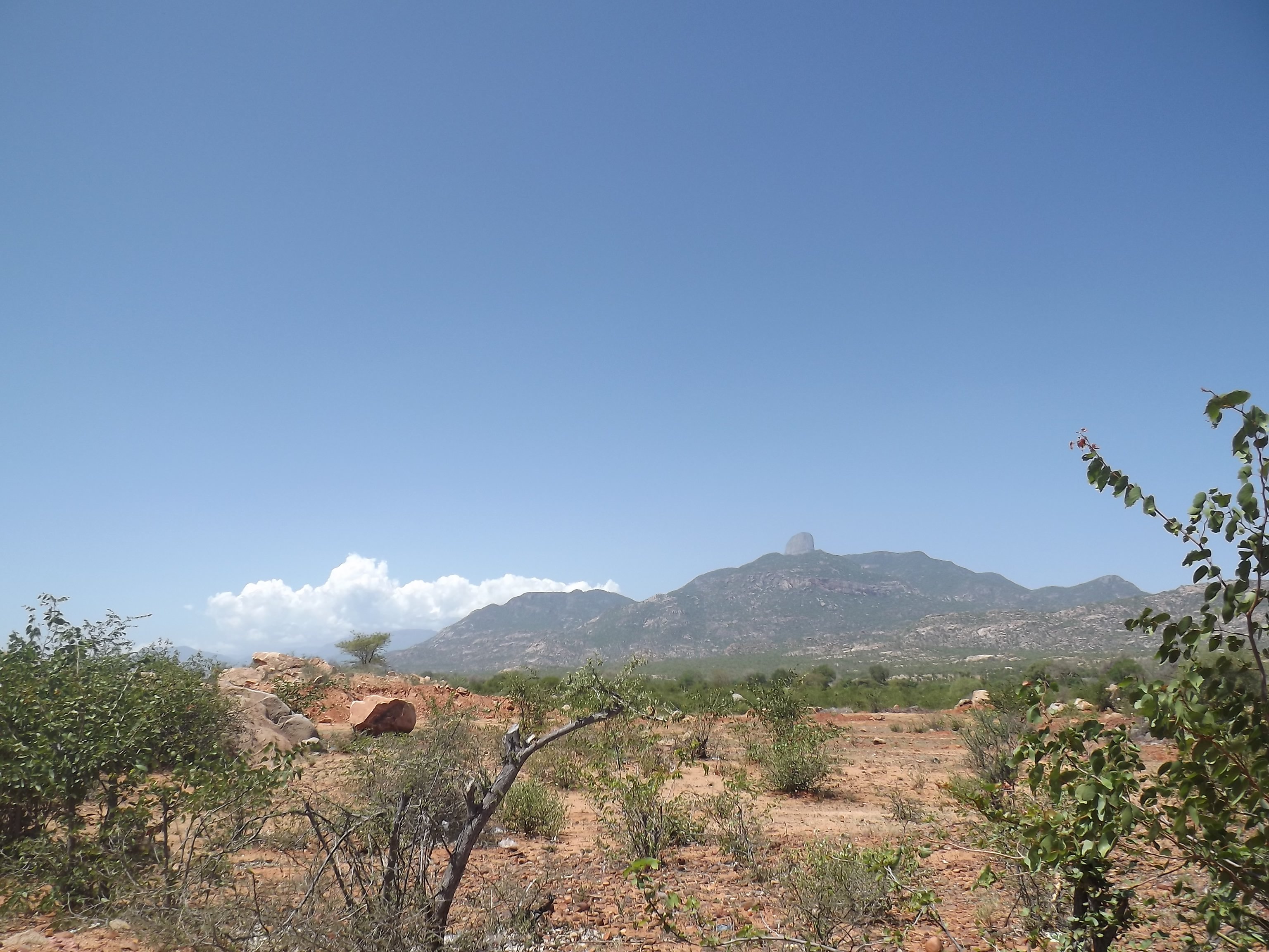 Bibala, Namibe