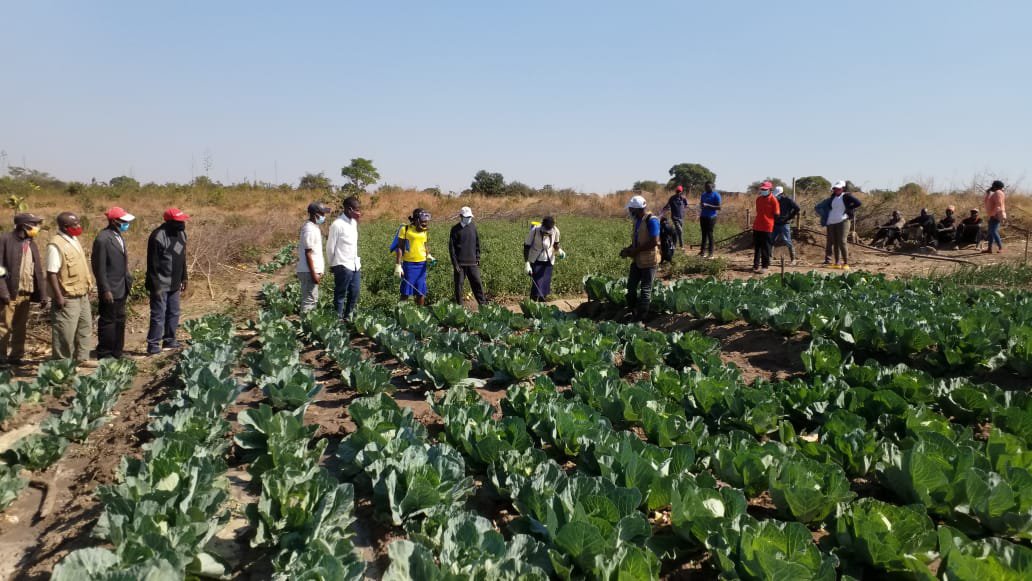 Campo de Experimentação da Kutenda, Huíla