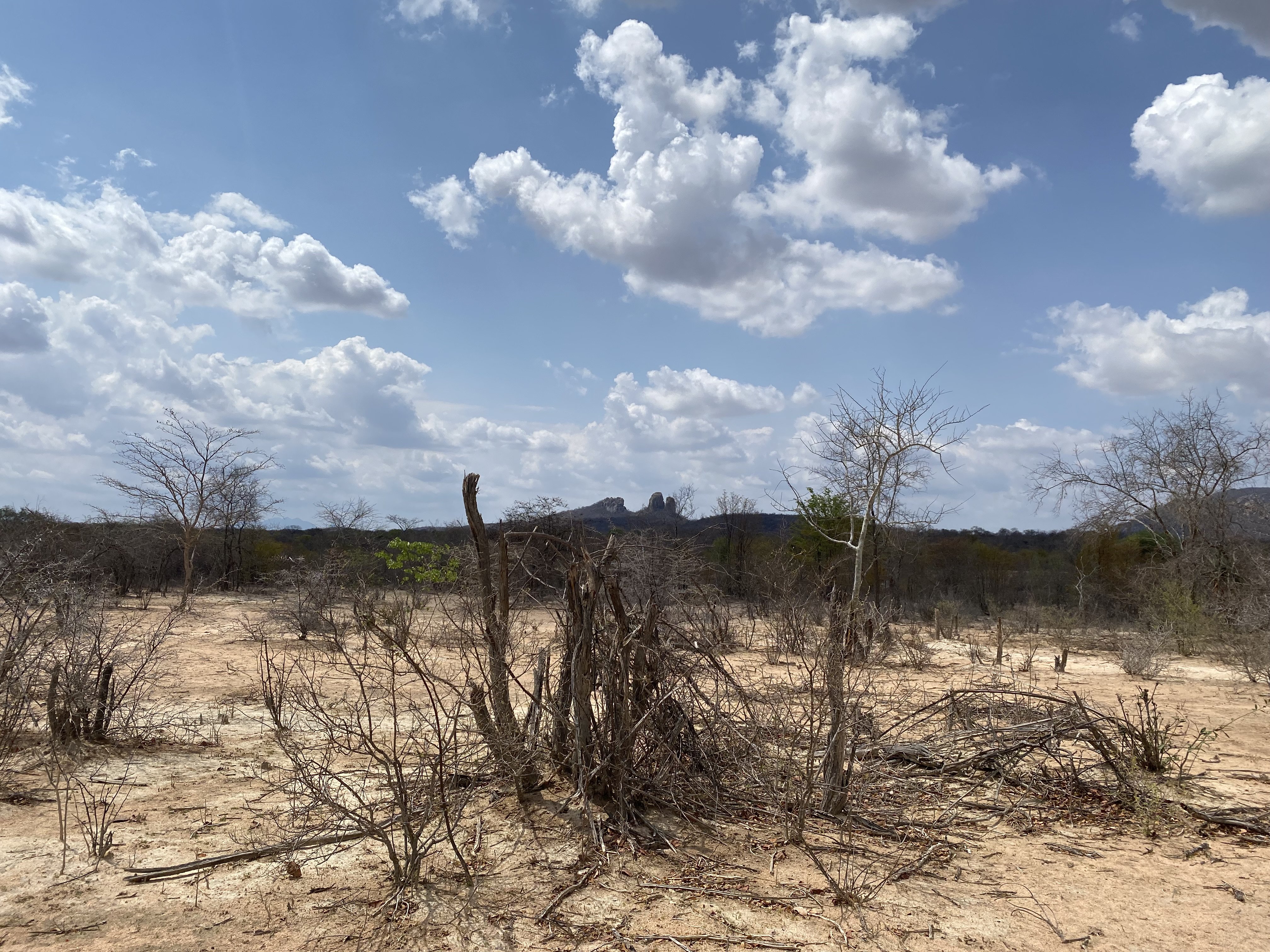 perto da vila de Bibala, Namibe