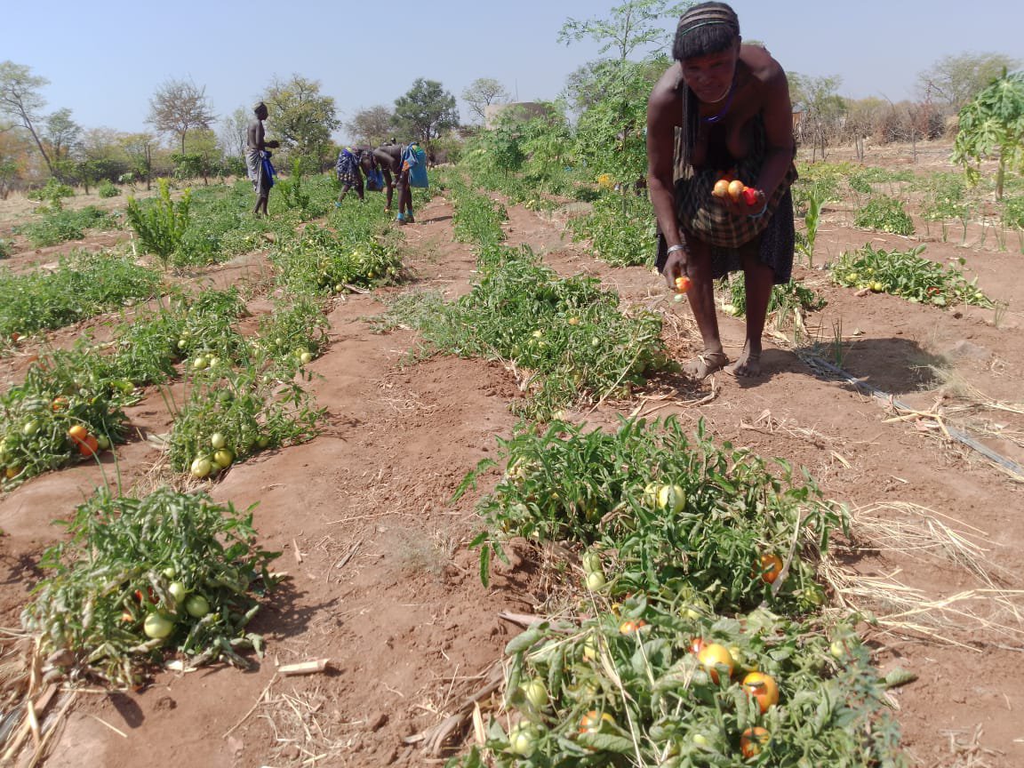 Escola de Campo Agrícola, Onkokwa, Cunene